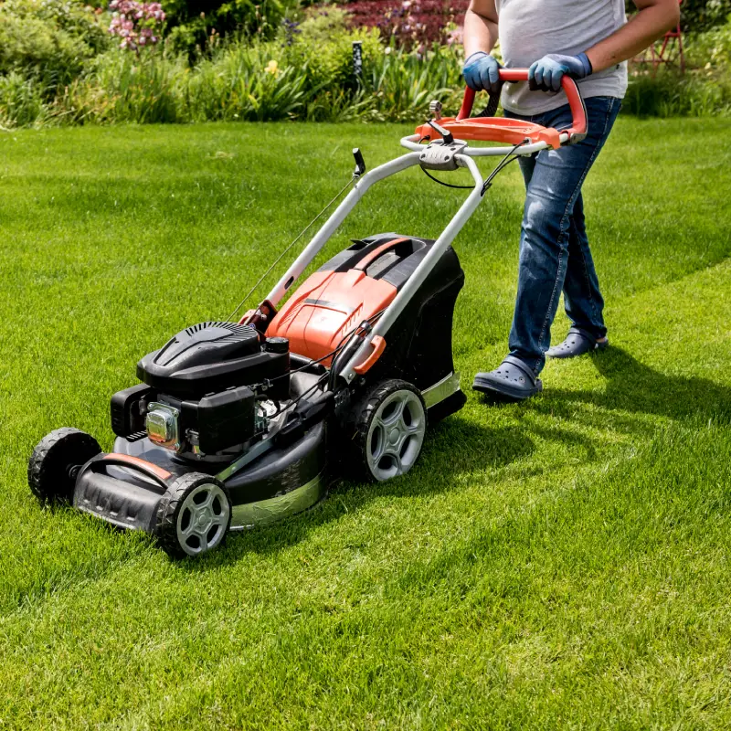 10 Essential Garden Maintenance Jobs for June