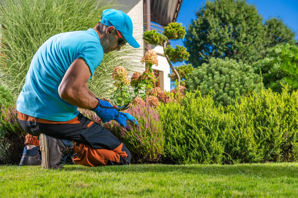 10 Essential Garden Maintenance Jobs for June