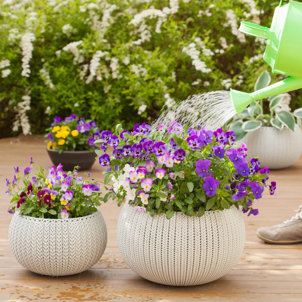 Summer Entertaining Space with Pollinator-Friendly Planting