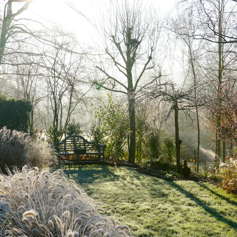 Dealing With Winter Damage in Your Garden: A Complete Spring Recovery Guide