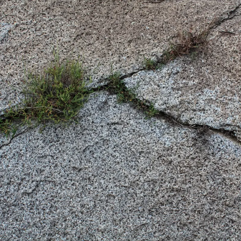 Cracked patio Willow Landscaping Ipswich