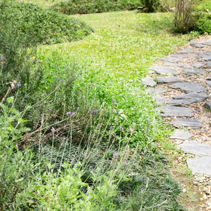 Garden beds and borders Willow Landscaping Ipswich