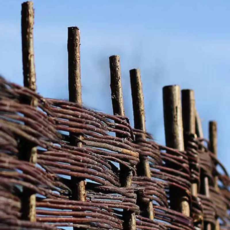 Dealing With Winter Damage in Your Garden: A Complete Spring Recovery Guide