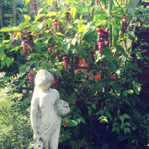 Small statue in garden border.