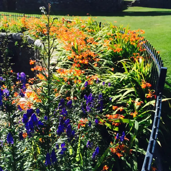 A well-planted flower border with a mix of textures and colours.