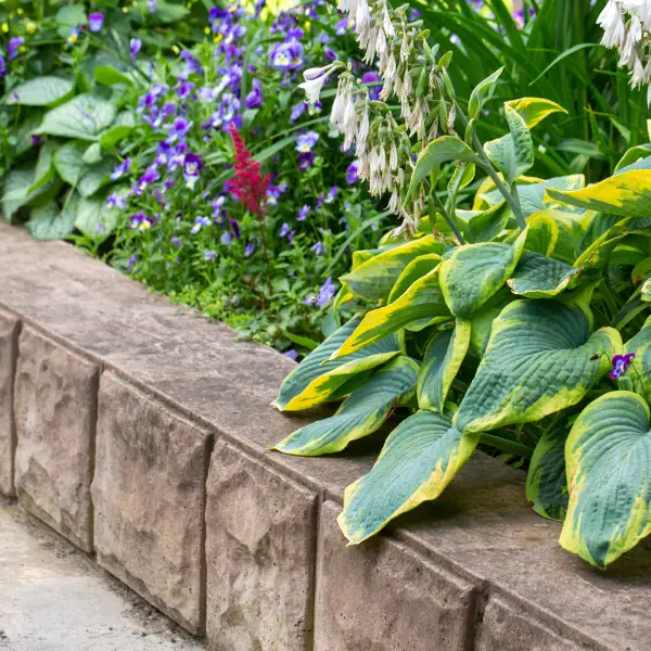 A close-up of installed brick edging.