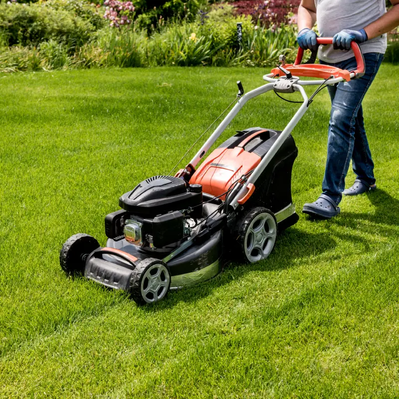 Grass Lawn vs Artificial Grass: The Complete UK Homeowner Guide