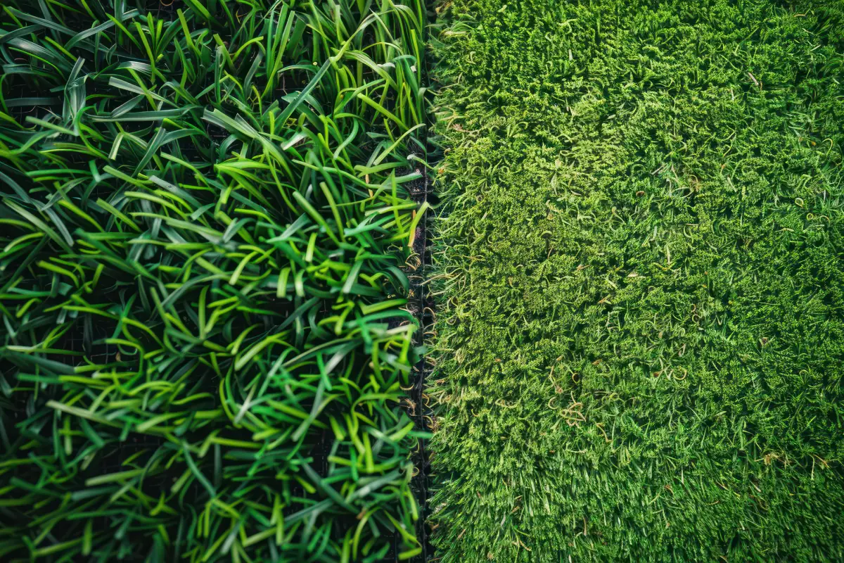 Grass Lawn vs Artificial Grass: The Complete UK Homeowner Guide