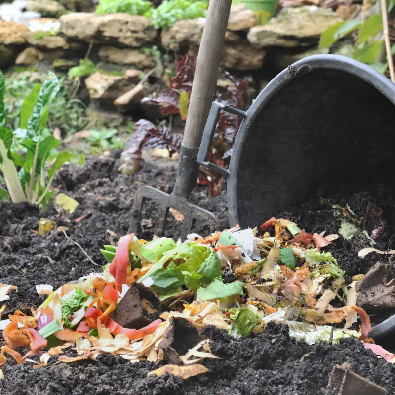 Kitchen waste for compost being used in Willow Landscaping Ipswich garden