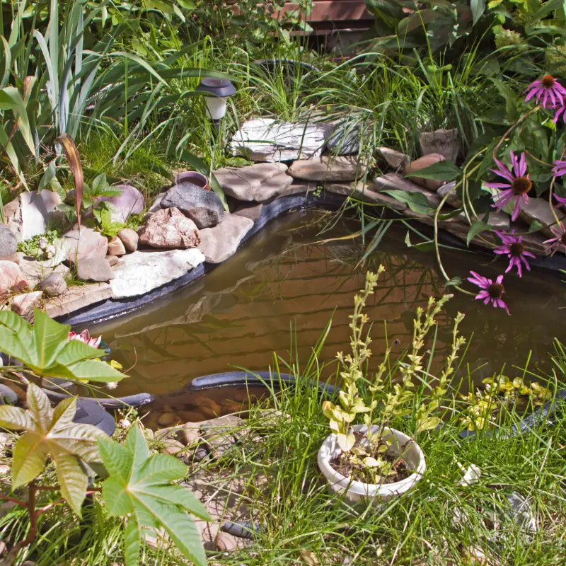 How to Create a Wildlife-Friendly Garden This Spring