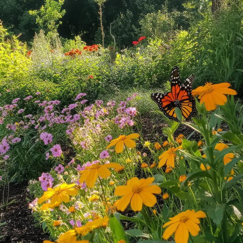 How to Create a Wildlife-Friendly Garden This Spring