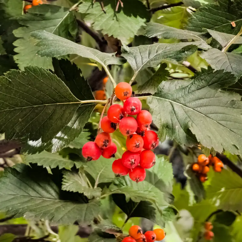 How to Create a Wildlife-Friendly Garden This Spring