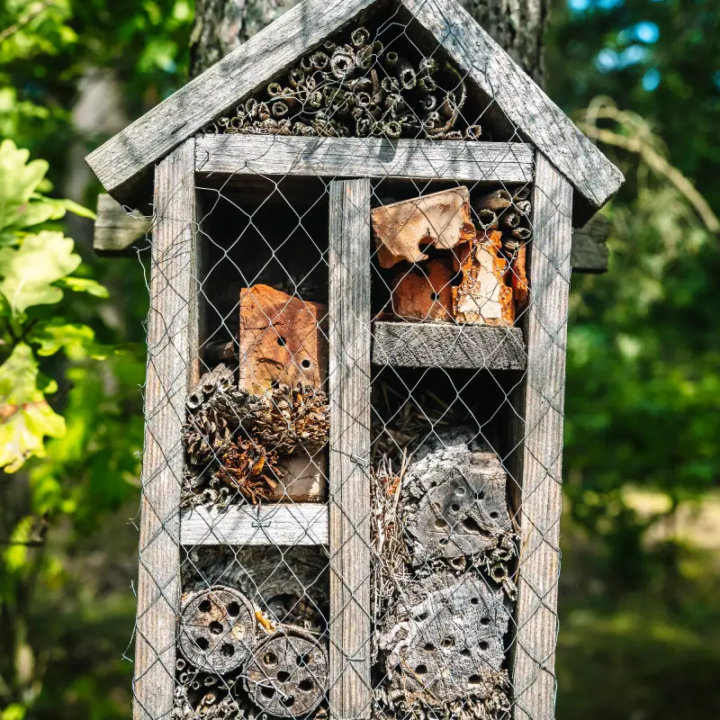 How to Create a Wildlife-Friendly Garden This Spring