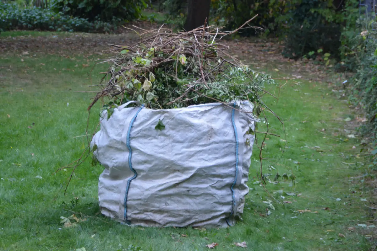 Ipswich Garden Clearance Services clearing an overgrown garden