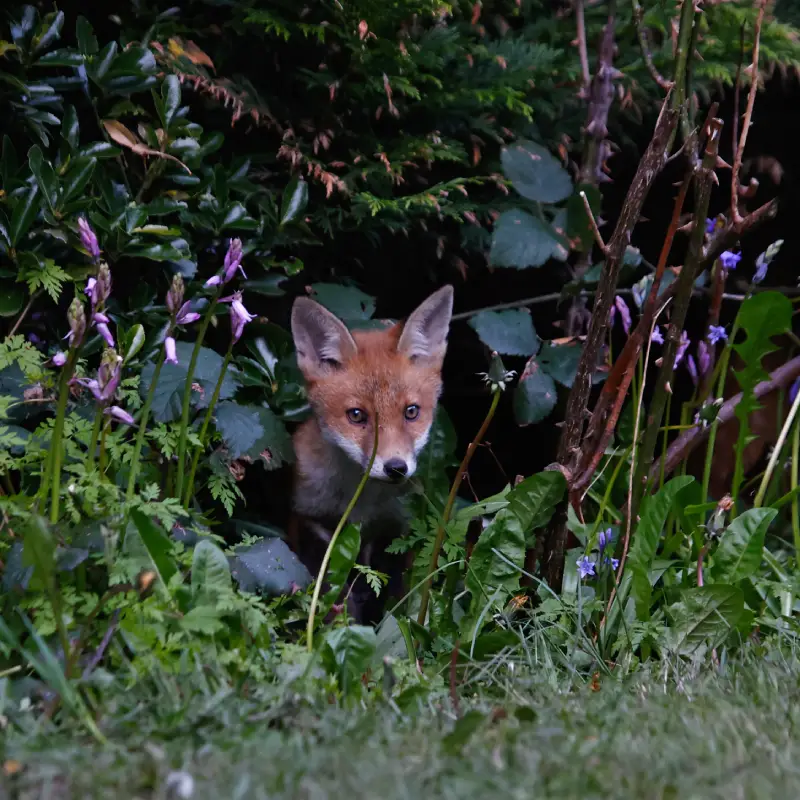 Landscaping Trends for 2026: Fresh Ideas for Modern Outdoor Living