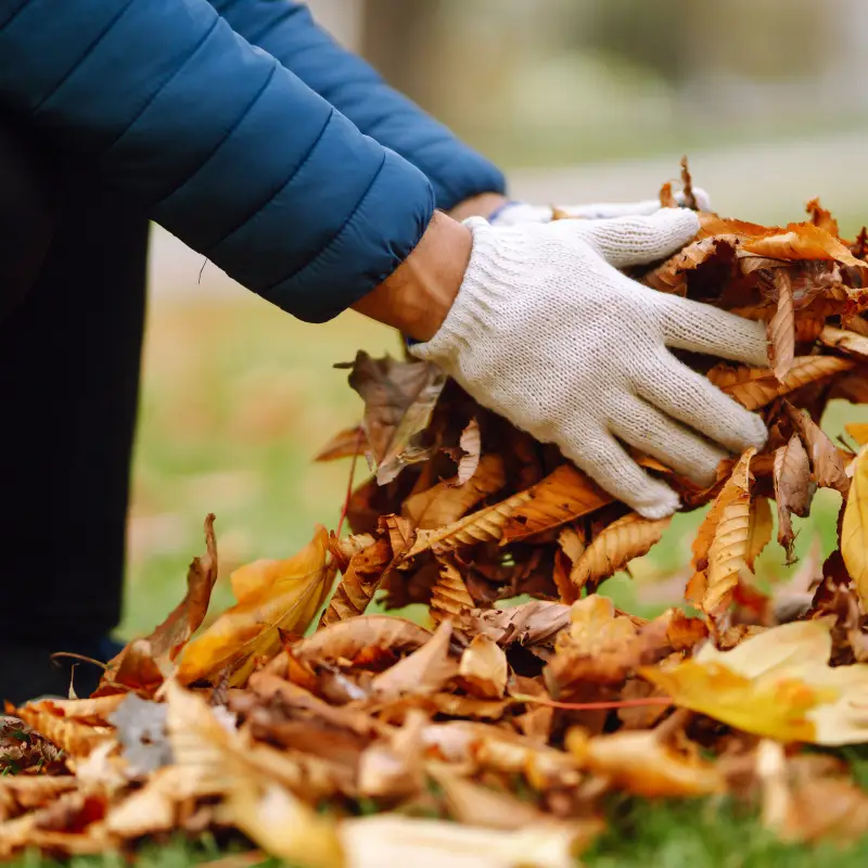 Professional leaf and debris removal service in Ipswich garden patio area.