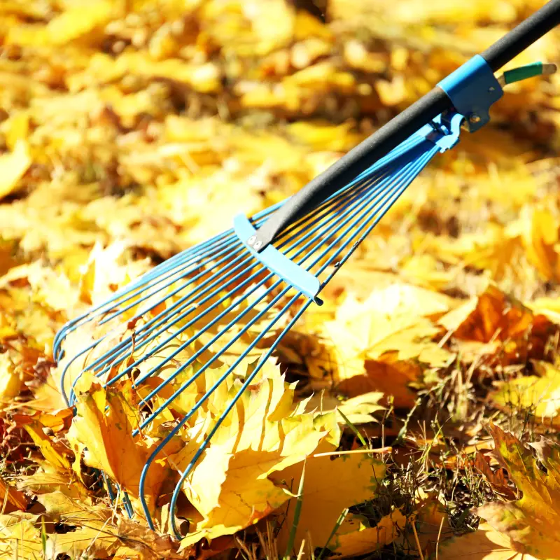 Alt text: Collected leaves and debris ready for disposal in an Ipswich garden.
