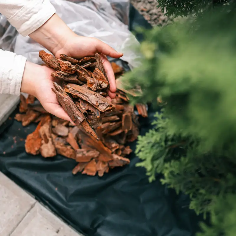 Weed Control Fabric Willow Landscaping Ipswich