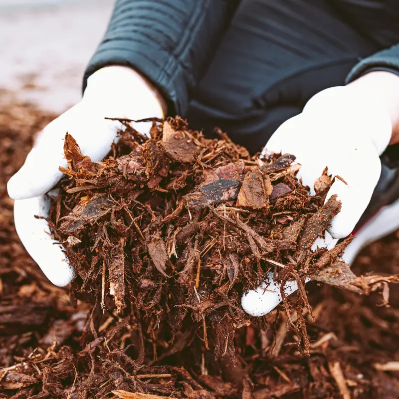 Mulch Willow Landscaping Ipswich
