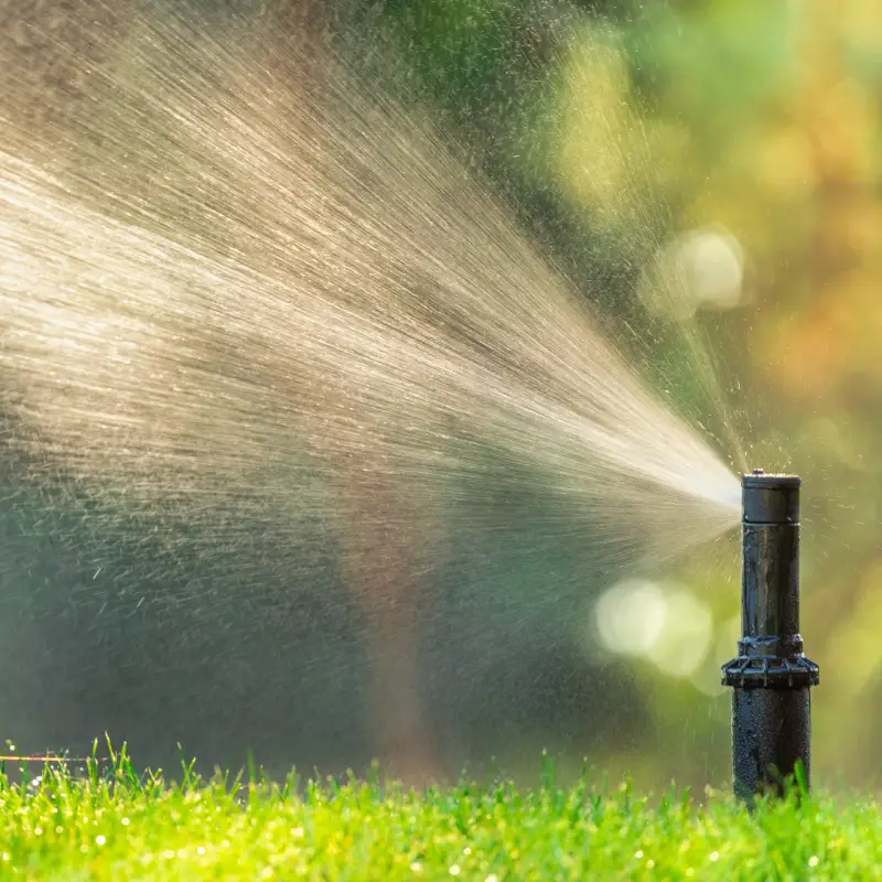Automatic Irrigation Systems Willow Landscaping Ipswich