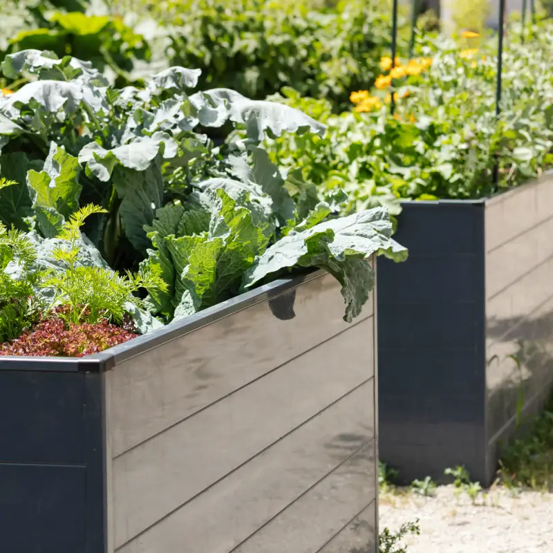 Raised Garden Beds Willow Landscaping Ipswich