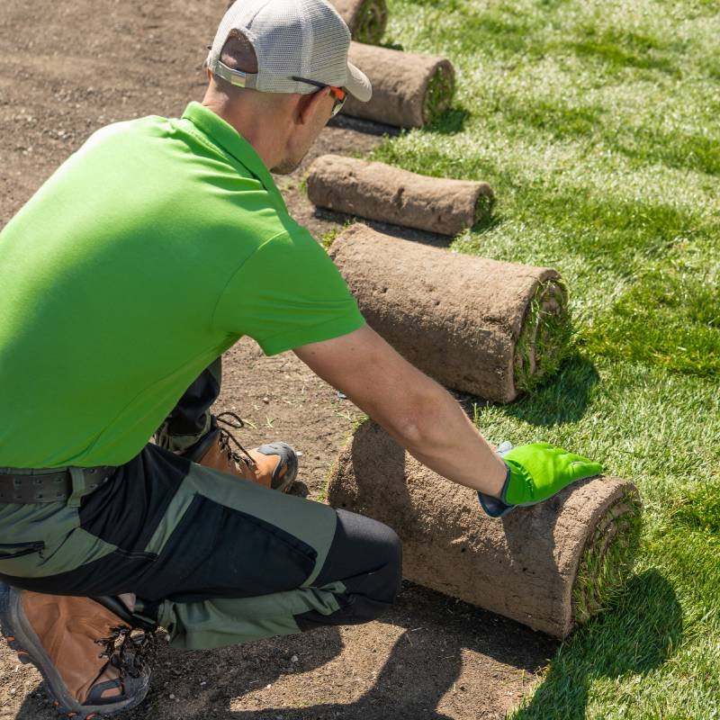 Lawn Laying Services for Homes in Ipswich