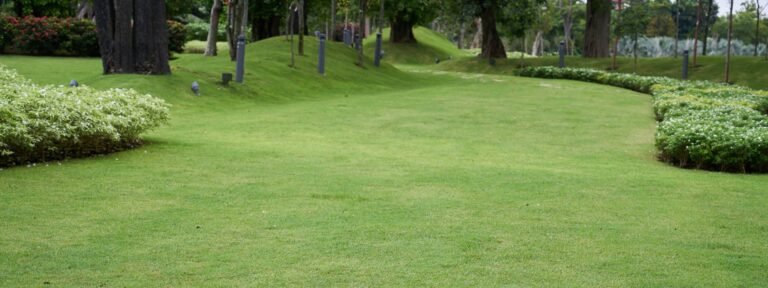 Lawn Laying Services for Homes in Ipswich