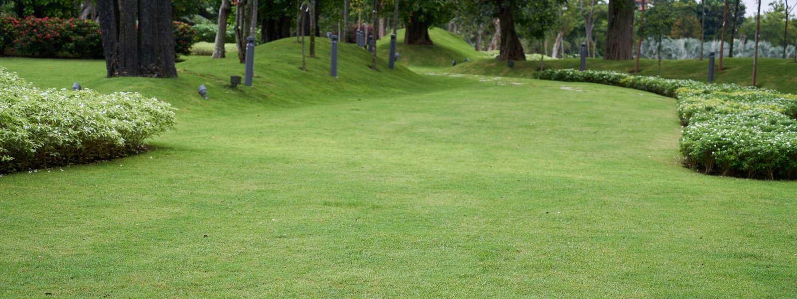 Lawn Laying Services for Homes in Ipswich