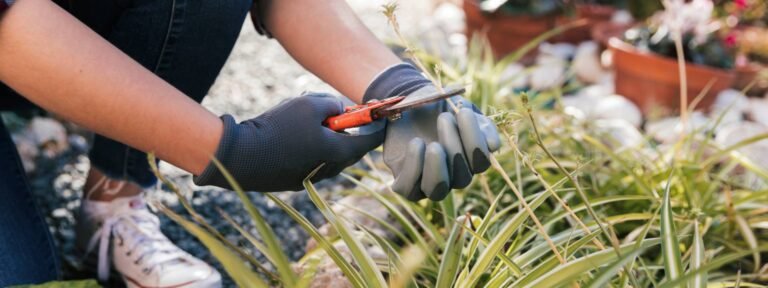 Complete Garden Design Services in Ipswich