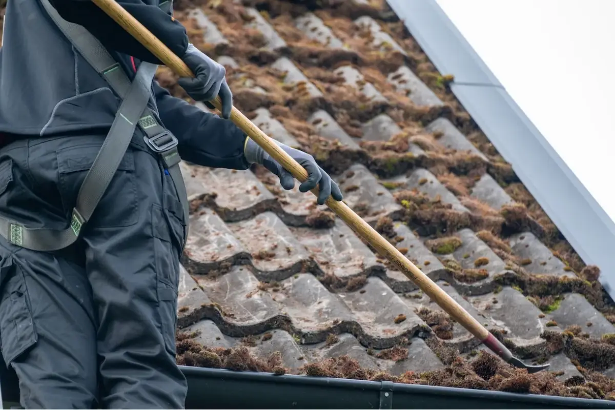 Roof Scraping