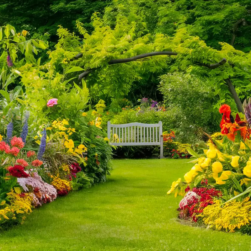 Willow Landscaping Ipswich garden