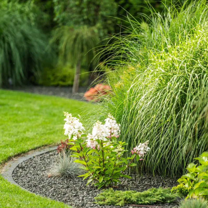 Transform Your Garden with Style and Structure