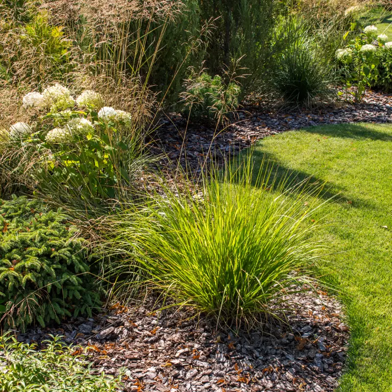 Transform Your Garden with Style and Structure