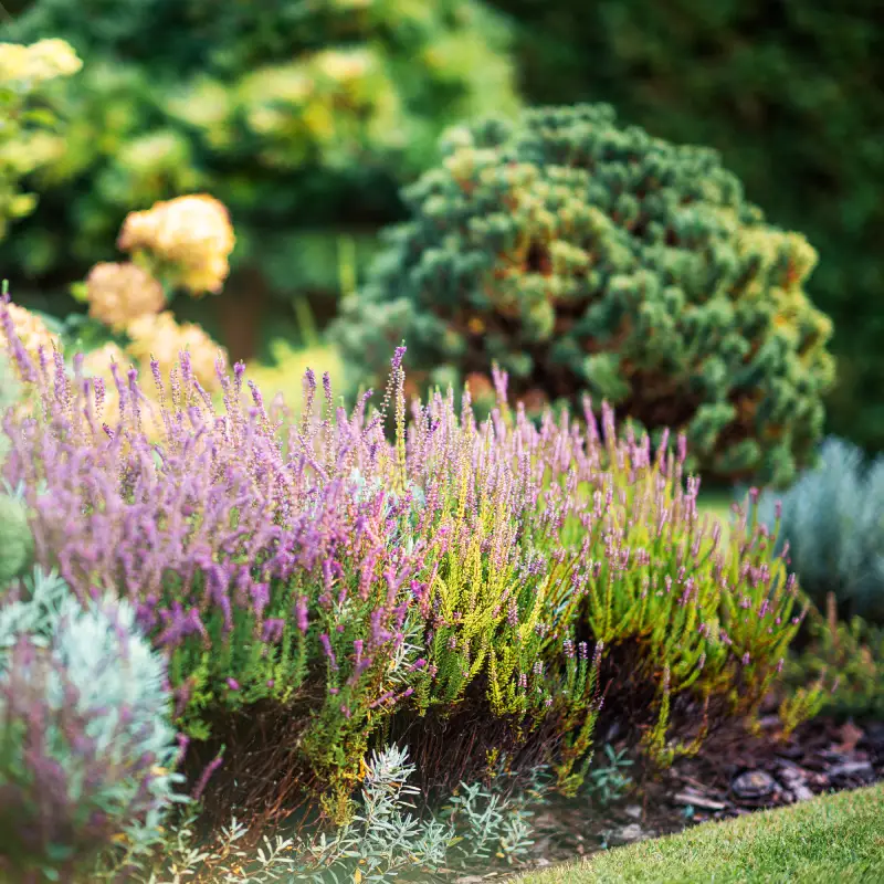 Transform Your Garden with Style and Structure