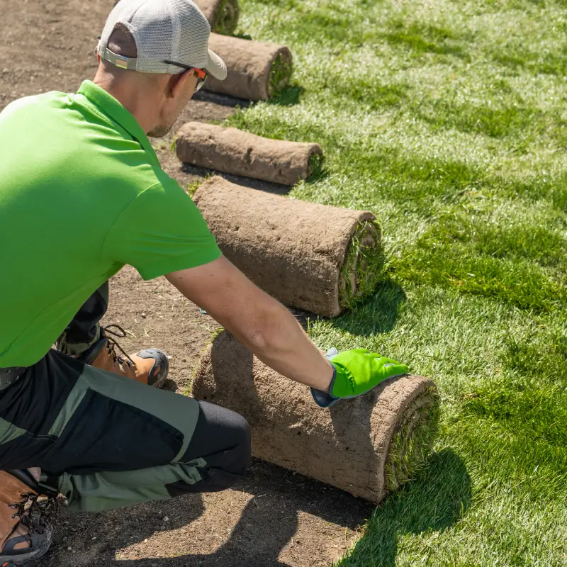 Lawn Installation Willow Landscaping Ipswich