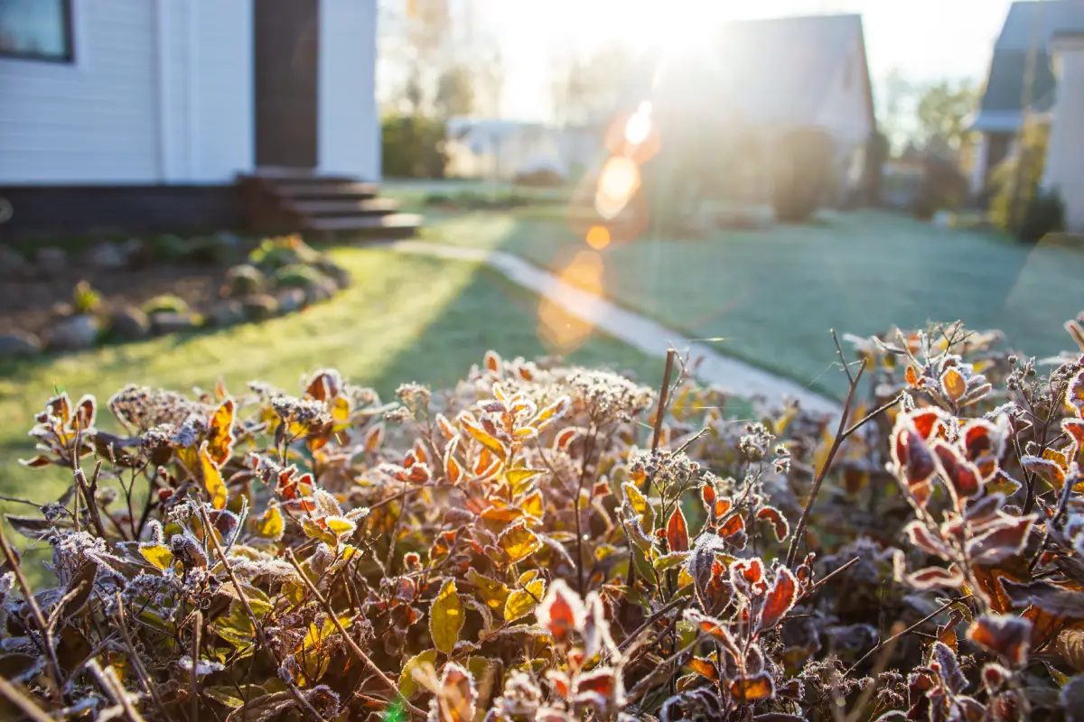 Willow Landscaping Ipswich Transition from Winter to Spring