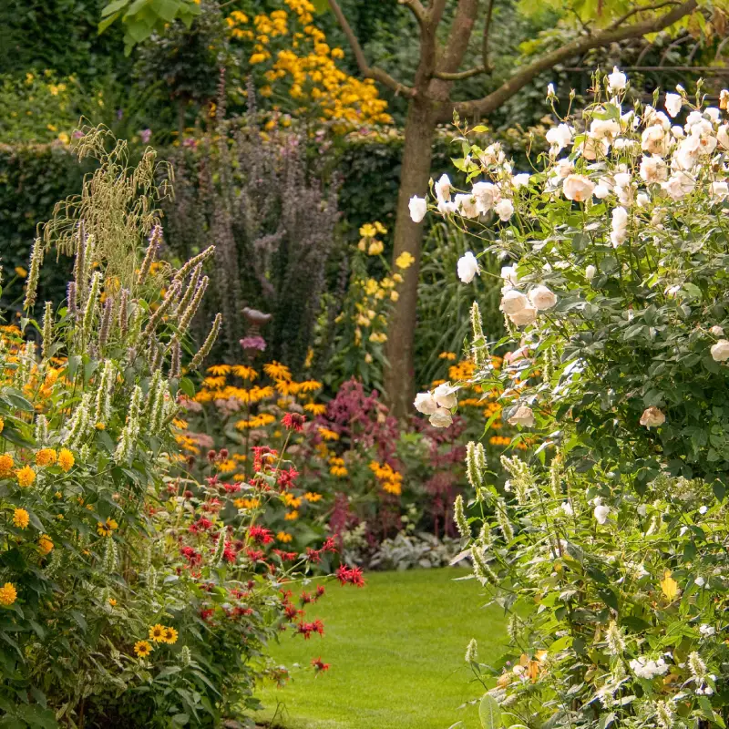 Garden Willow Landscaping Ipswich