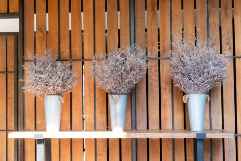 Venetian Panels in Ipswich: Modern Fencing for Stylish Gardens