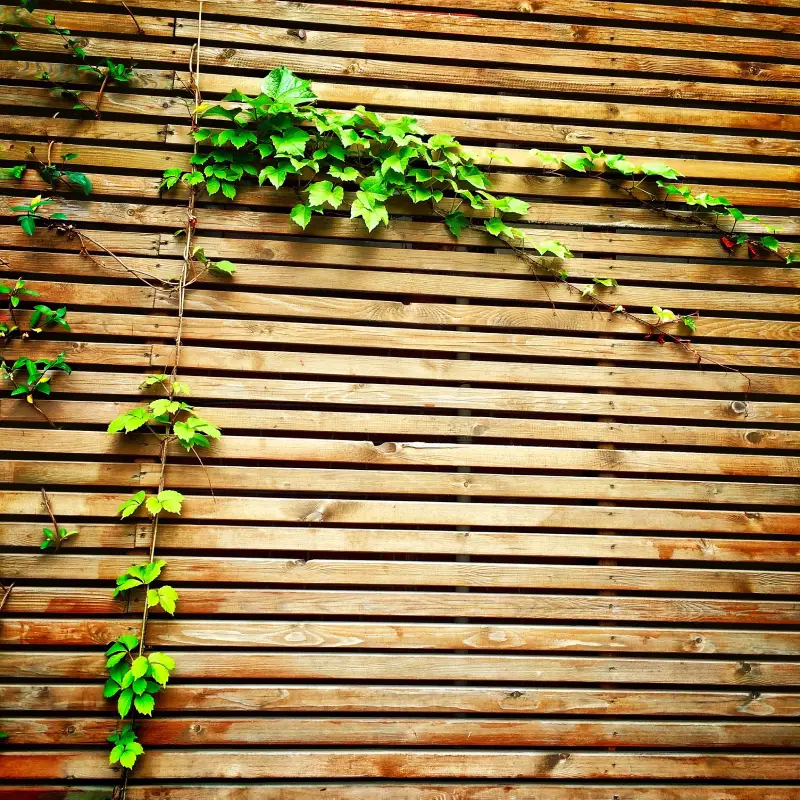 Venetian fence panel style installed in Suffolk garden